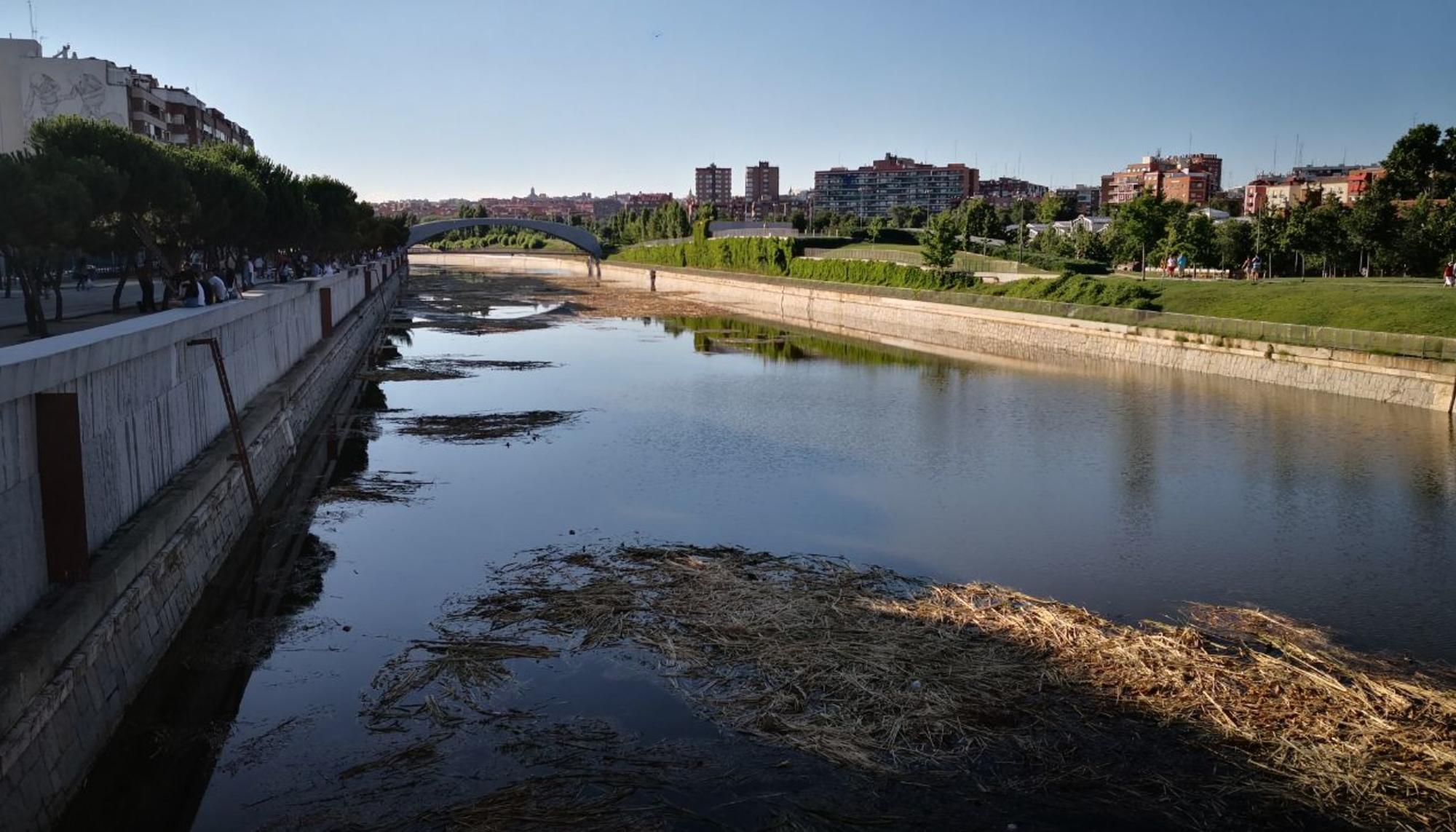 rio manzanares canal remo